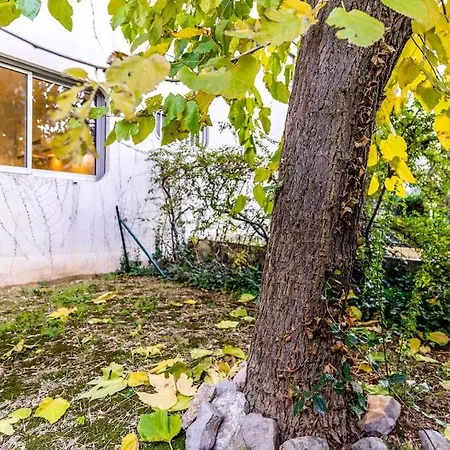 * Le St-eloi *1 Chambre, Parking, Wifi, Jardin* Apartment